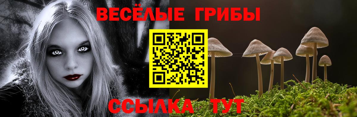 Гусь-Хрустальный  Галлюциногенные грибы мицелий  Псилоцибиновые грибы Cubensis  Вход с VPN 